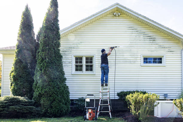 Best Driveway Pressure Washing  in Gautier, MS